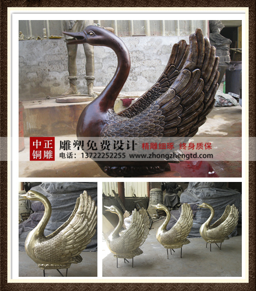 天鹅 - 万能看图王 - 万能看图王.jpg 天鹅 - 万能看图王 - 万能看图王.jpg