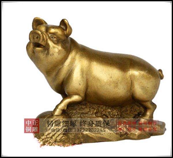 猪 (2).jpg 猪 (2).jpg