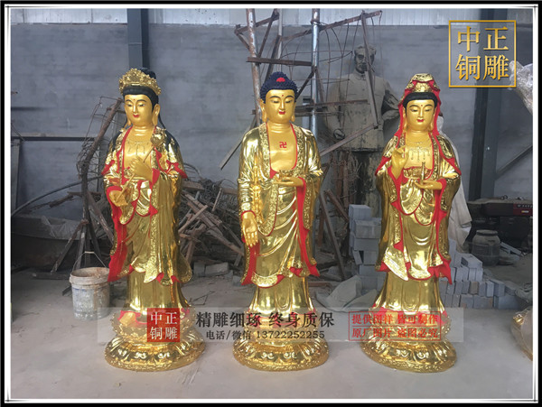 IMG_1339.jpg IMG_1339.jpg