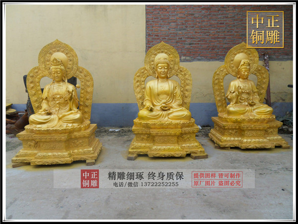 SDC12429.jpg SDC12429.jpg